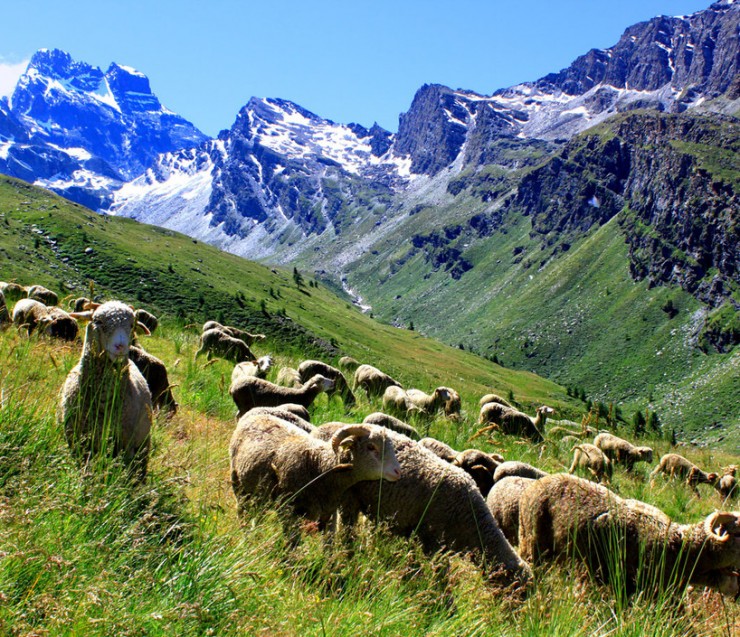 Hautes-Alpes : on recrute pour la nouvelle saison 